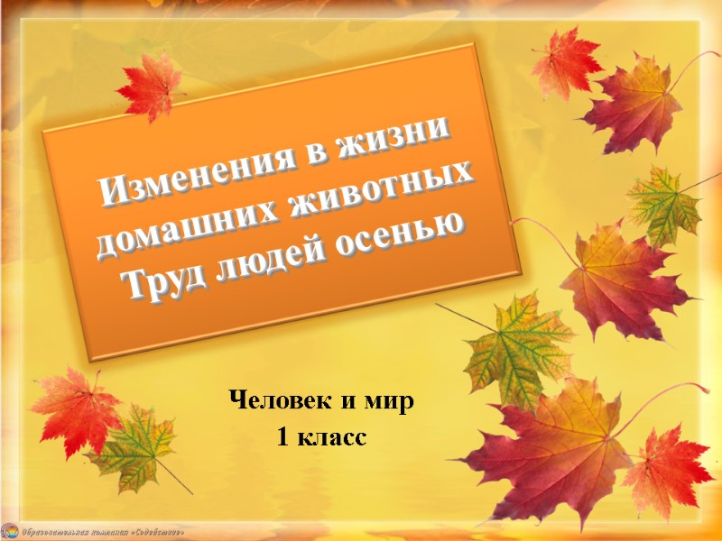 Человек и мир 1 класс